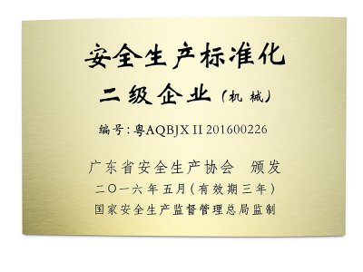 祝贺龙8顺利通过国家安全生产标准化二级企业